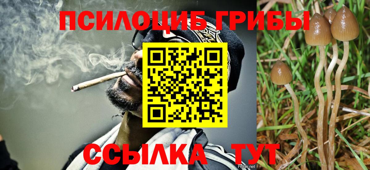 Псилоцибиновые грибы мухоморы  Галлюциногенные грибы прущие грибы  Старая Купавна  Вход с VPN 